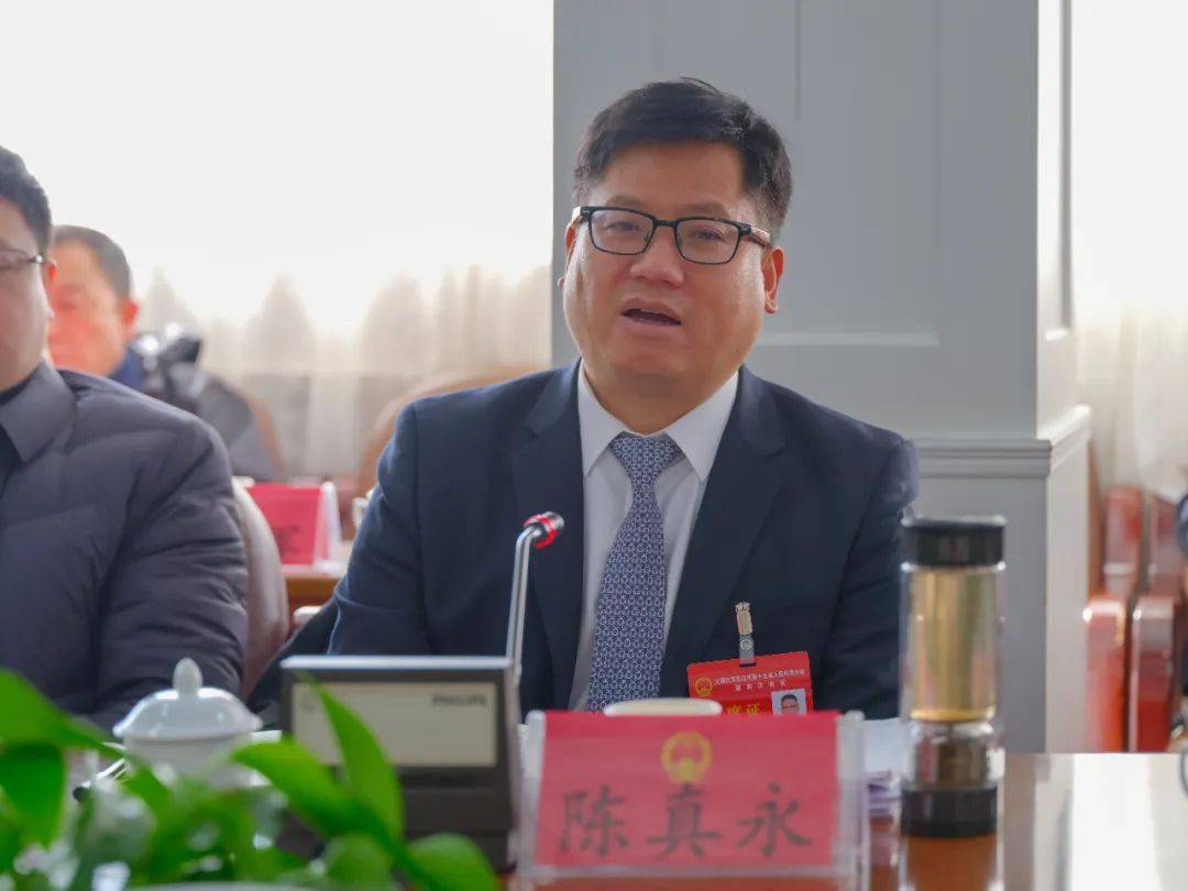 陈真永参加祥云县代表团审议审查时强调 大干项目 大兴企业 大抓招商