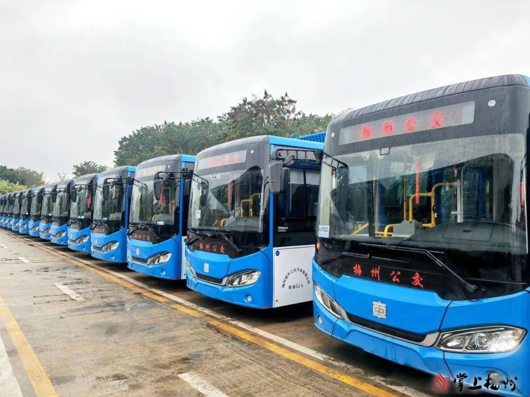 梅城50辆新公交车,将陆续"上岗"→_梅州_车辆_城区