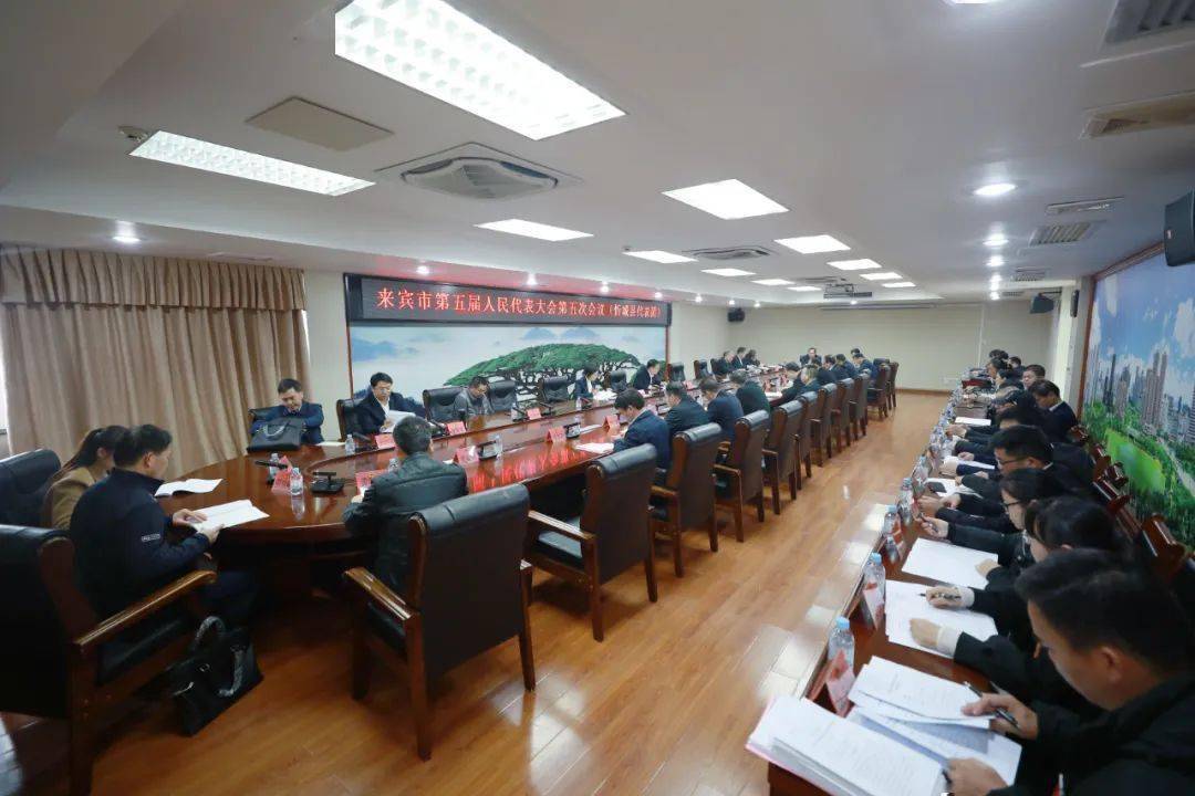 忻城县委副书记,县长沈国章,忻城县人大常委会主任樊广平为忻城县代表