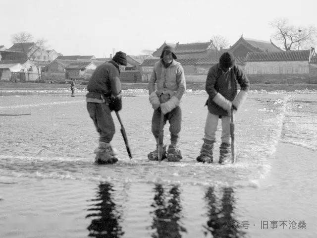 採冰工人兩手握住t形冰鑹在冰凍的河面上,一點點鑿出方形冰塊,再用勾