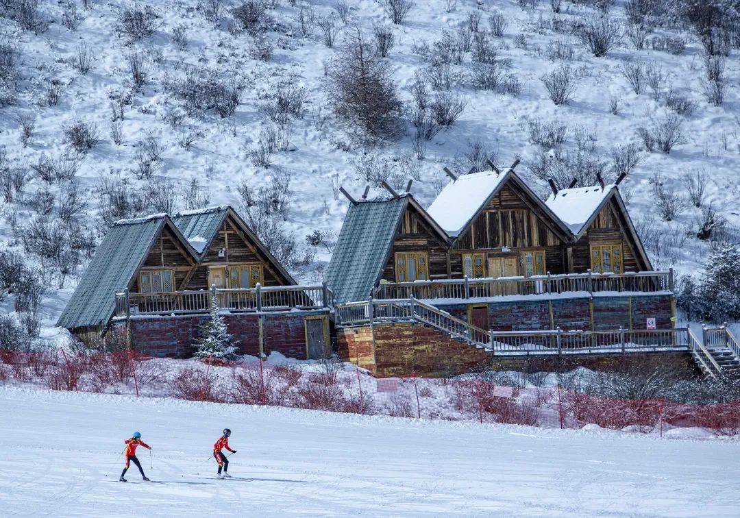 滑雪场_毕棚沟_鹧鸪