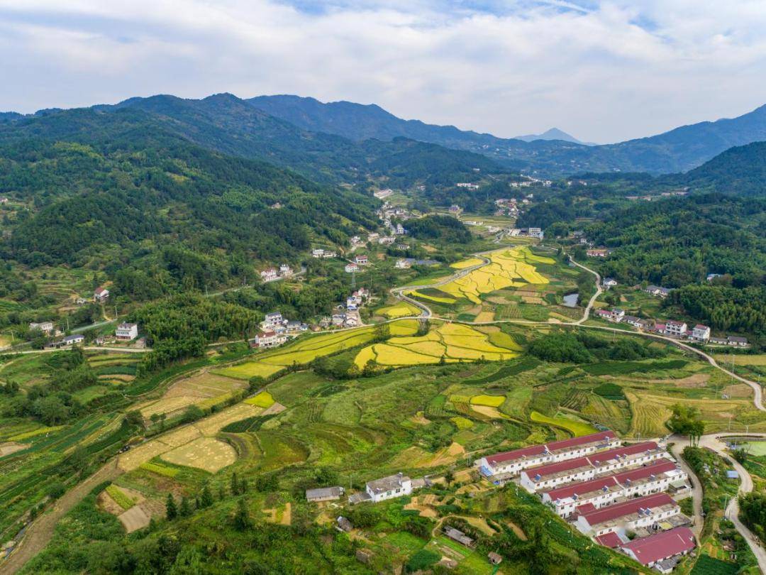 桐城乡村休闲两日游_旅游_文化_景区