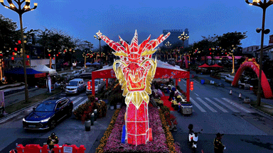 8米的巨型桔塔位于陈村花卉世界中心广场由999盆金黄四季桔组成街坊们