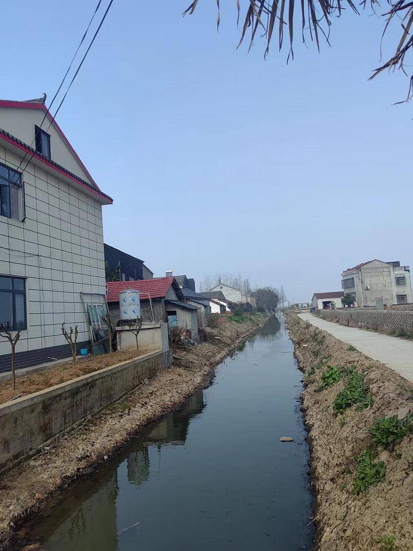 公安县一月"红黑榜"出炉!_理由_垃圾清运_沟渠