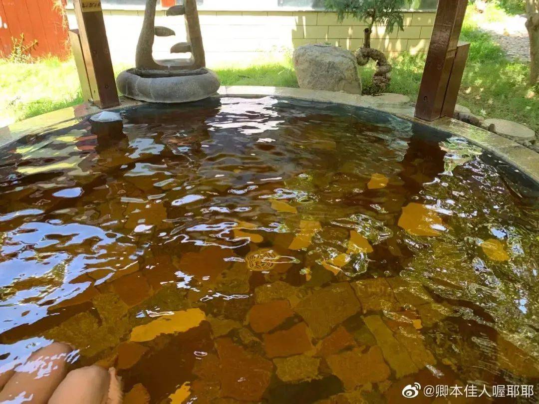 图源:@卿本佳人喔耶耶金穗园号称"春寒赐浴华清池,温泉水滑洗凝脂"