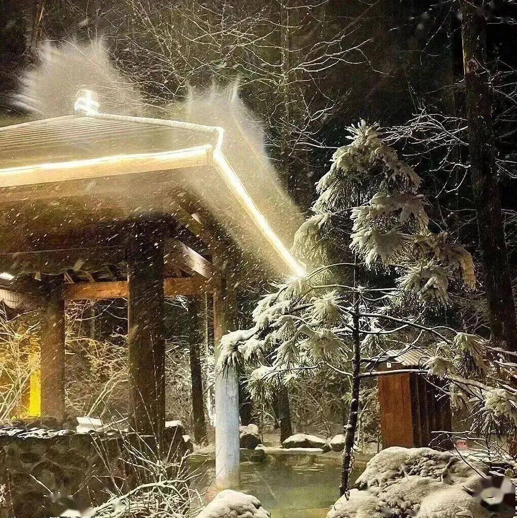 【龙年"城"好玩】长白山的满满福气要和你吉时相见!_滑雪_温泉_度假