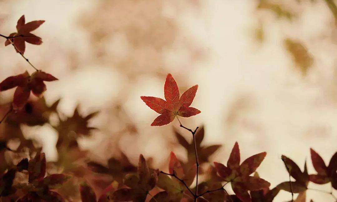 距离就是尊严(经典好文)_生活_空间_地方