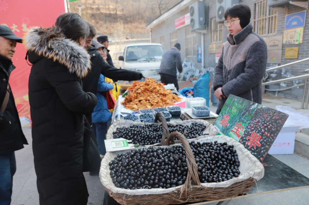 王平镇携手大栅栏街道摆上年货大集_板块_文化_市民