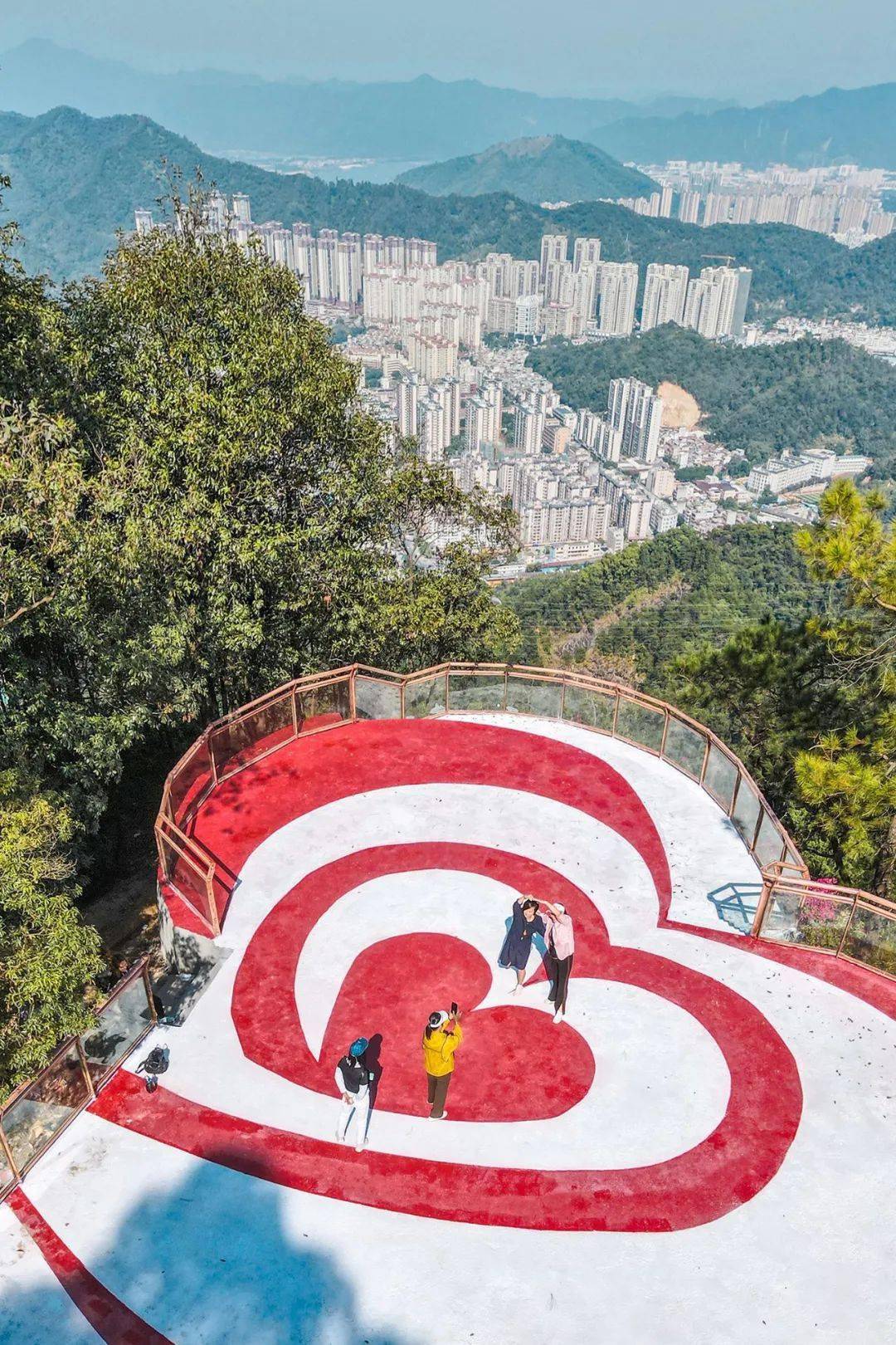 逛花市看马戏,金象山森林公园欢乐不停!