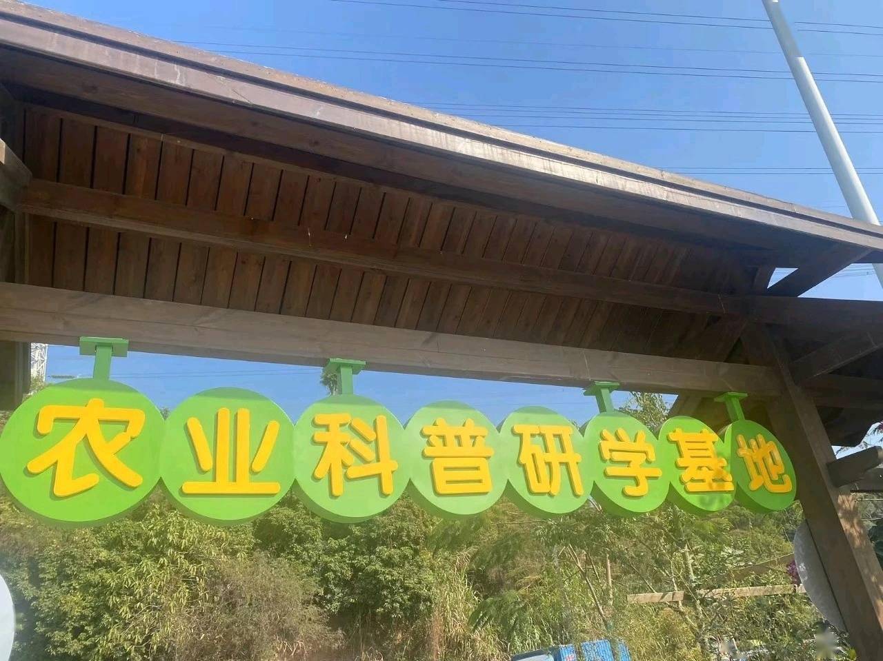 科普研学 迎春花市!深圳市百合花卉小镇年味正浓_农业_市民_文化
