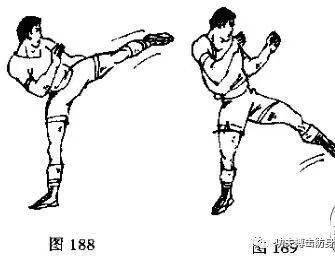散打组合腿法:鞭腿,侧踹和踢腿图文教学_对手_训练_攻击