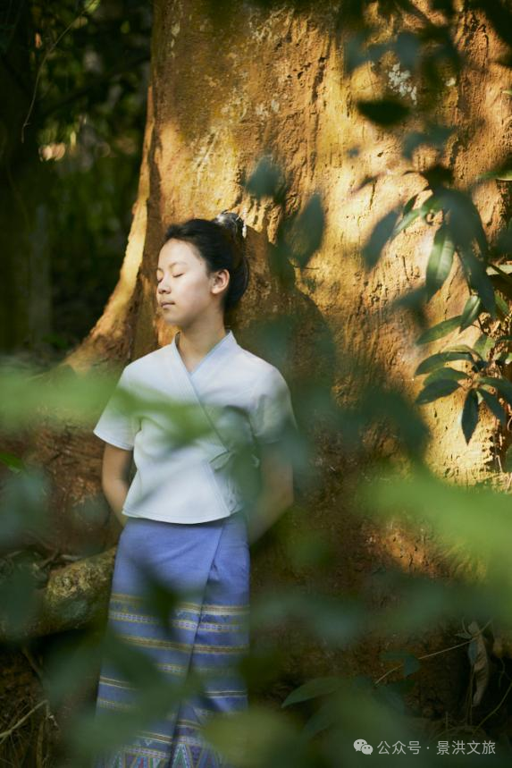 曼遠村研學:探索熱帶雨林中的傣族文化瑰寶_傳統_民居