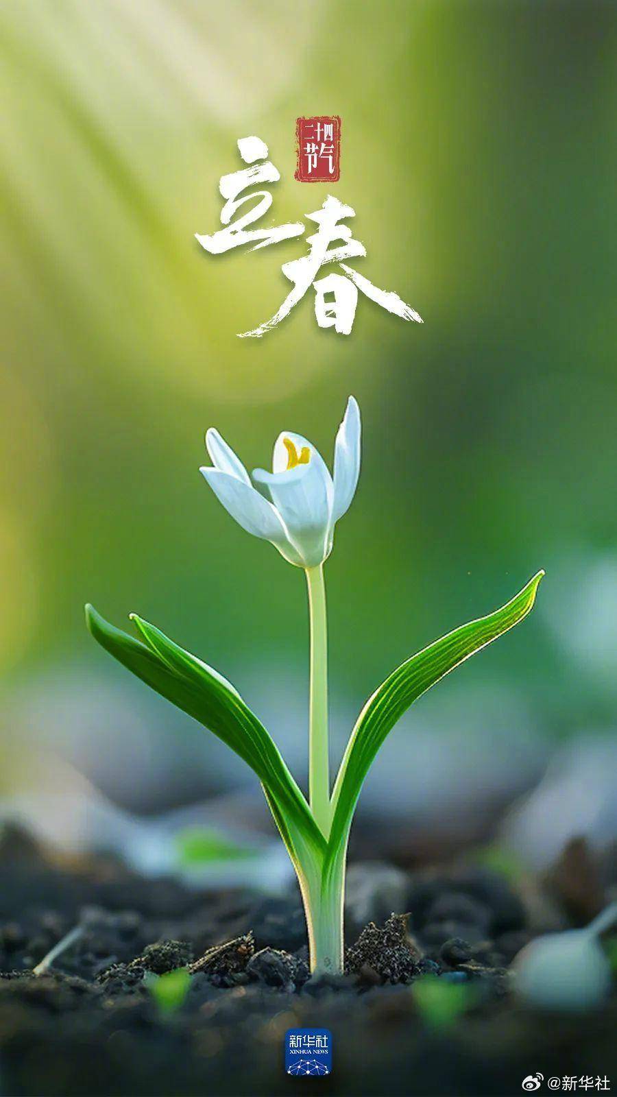 今日立春_新华社_微博_数九寒天