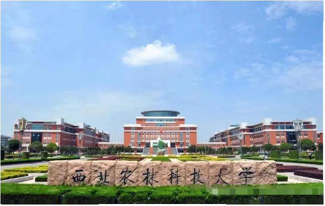 盘点最"好考"的6所985大学,个个实力强悍,了