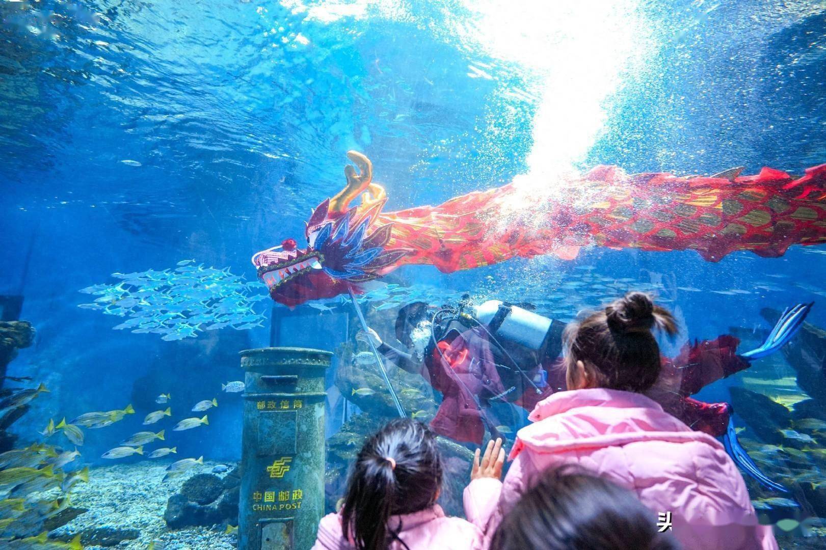 武汉极地海洋公园新春好玩上新!水下舞龙,非遗打铁花,球幕影院……