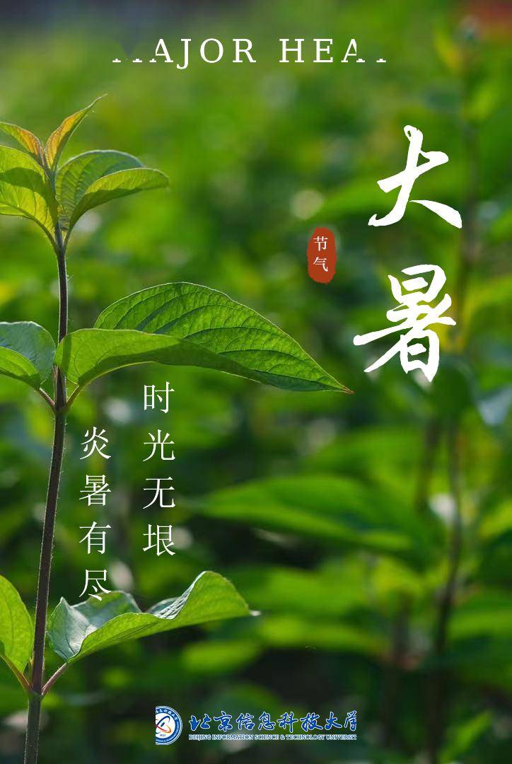 大暑是夏季的最后一个节气,荷以消暑,化伏为安.