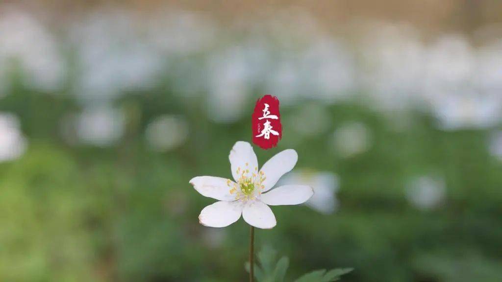 健康科普 | 立春中醫健康養生之道_陽氣_運動_氣溫