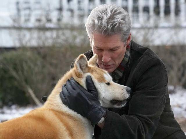 《忠犬八公的故事》跨越物种的情感传奇_动物_主人_纽带