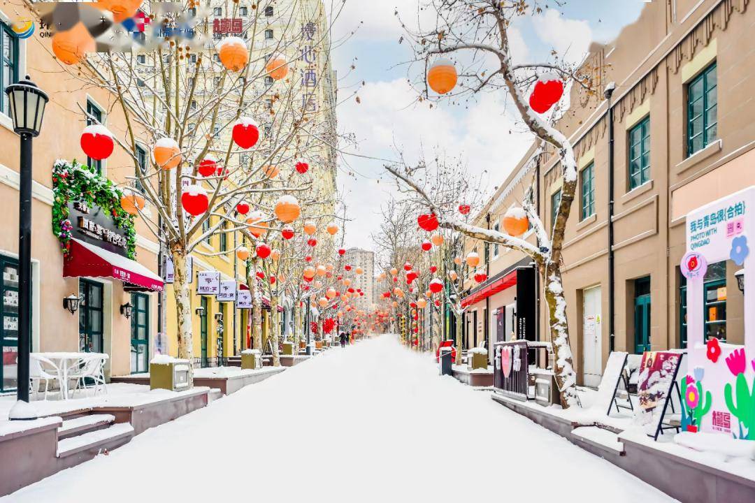 最美雪景,是他们!_兴隆路街道_工作_辖区