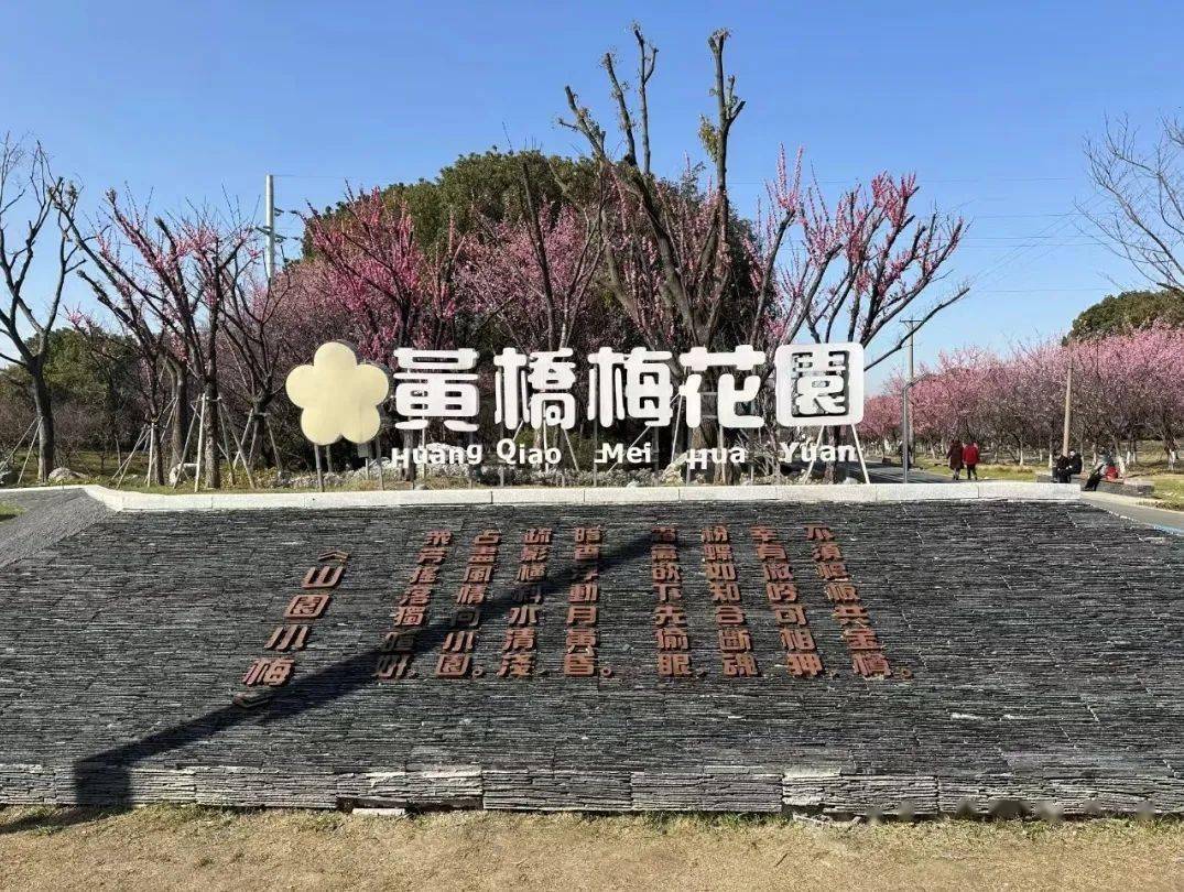 黄桥梅花园专线,与你共踏赏梅之路_龙道浜_市民_相城