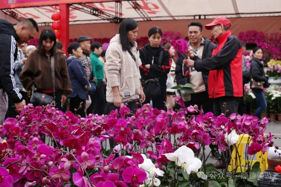 旺林园艺有限公司成立于1999年,总部位于顺德陈村花卉世界,目前培育