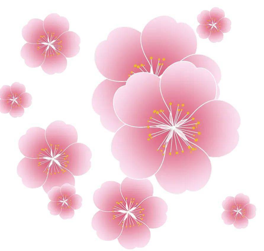 【3月份武汉大学——珞迦山下·与樱花有场约定】