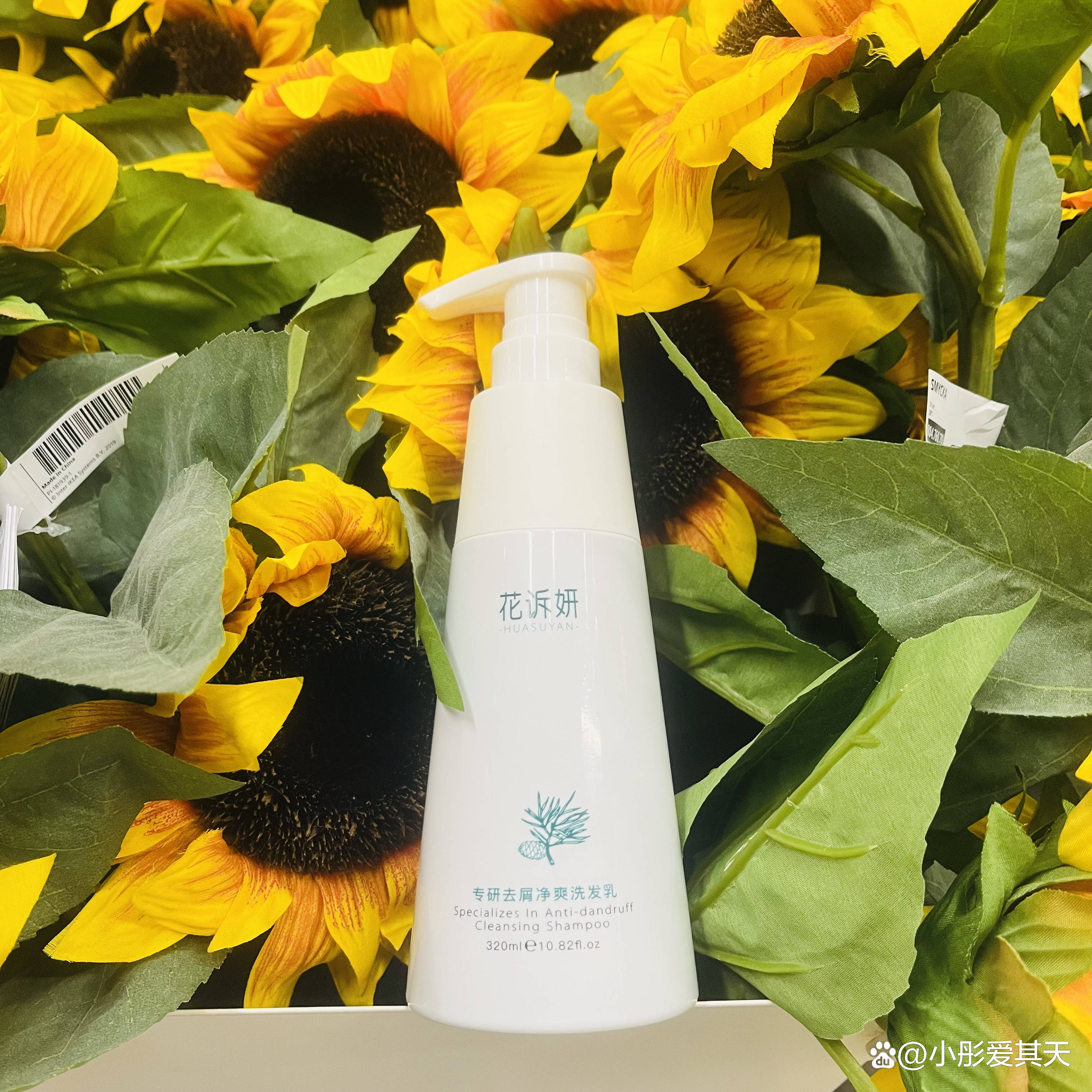 好用平价的洗发水去屑控油_头发_问题_成分