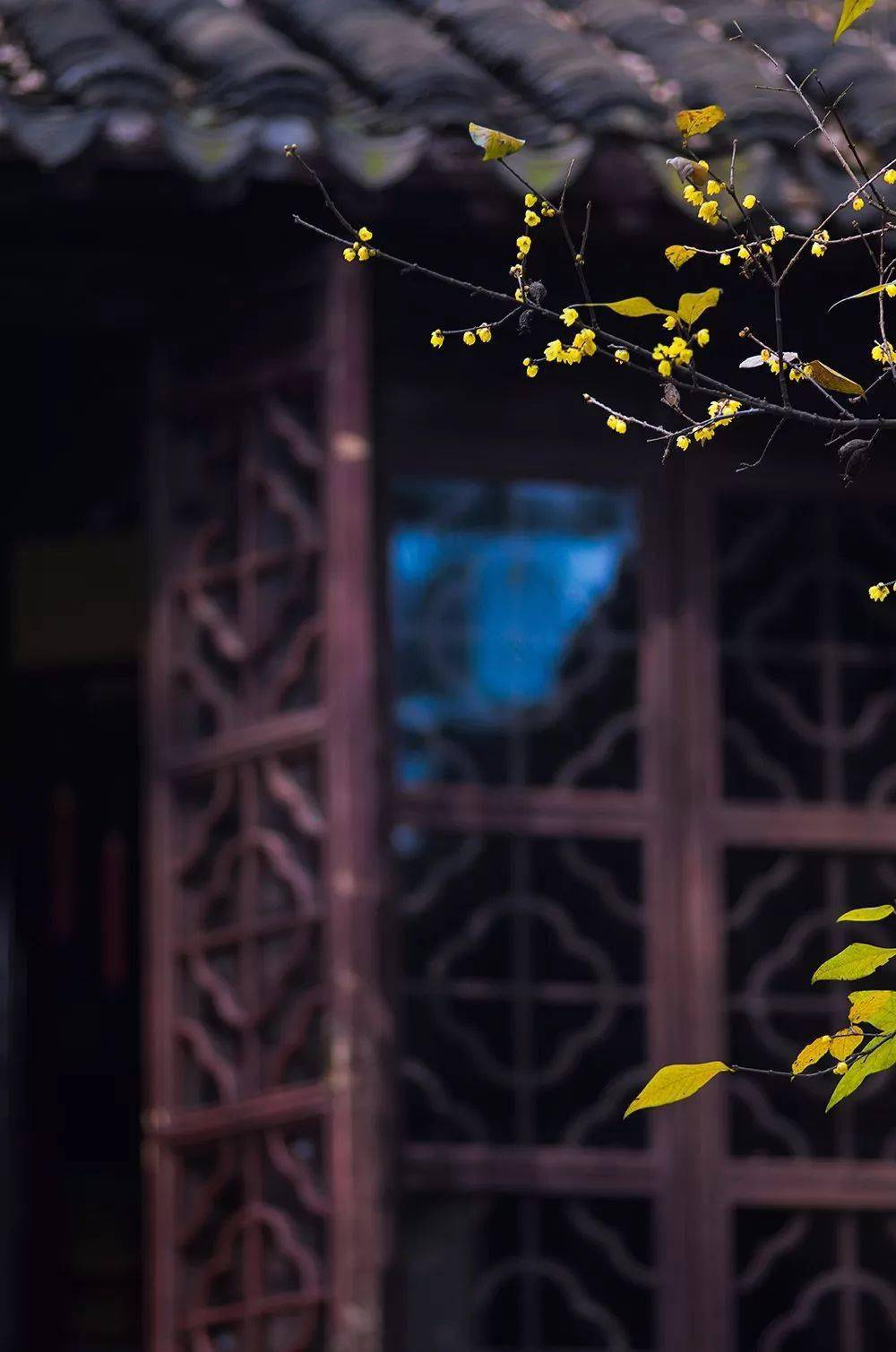 都放在一扇窗户之中已经将所有的美好殊不知,在古代人的建筑智慧里