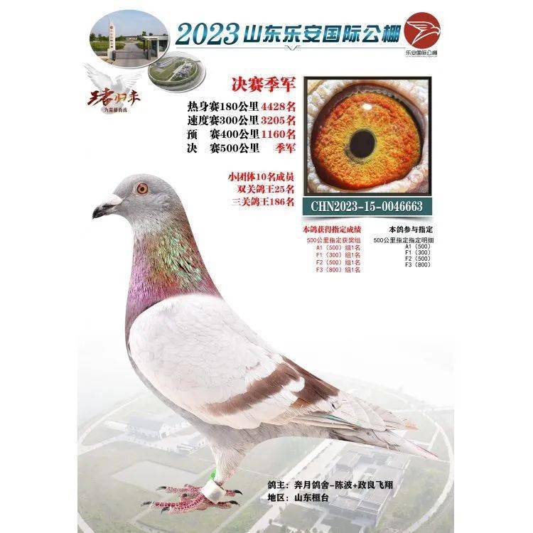 14,辽宁创翼赛鸽公棚季军辽宁创翼秋棚今年是首届秋赛,与神州辉煌公棚