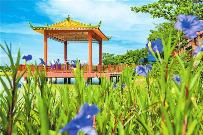 美兰新春精彩活动抢先看→_海口_旅游_特色