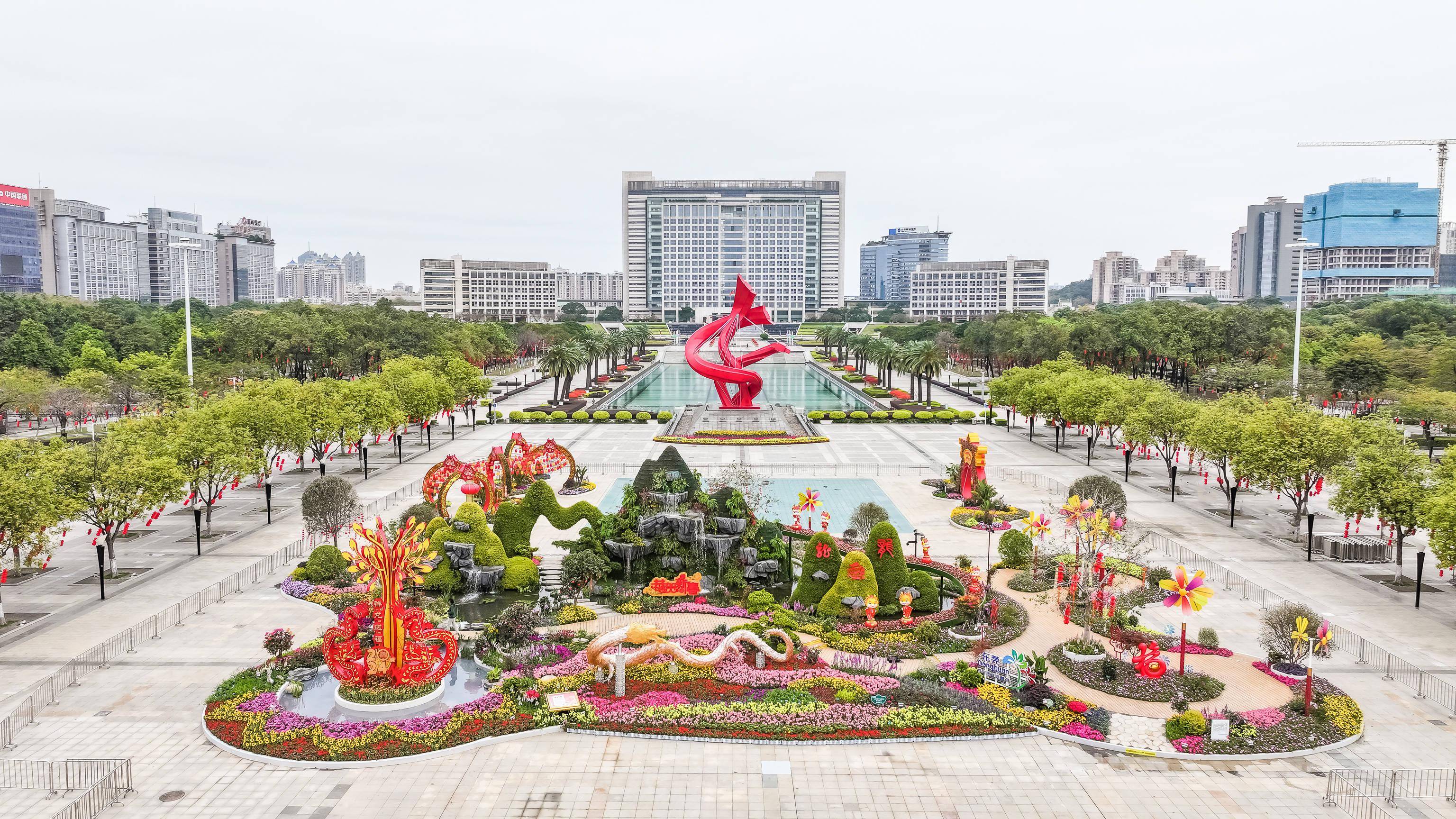 巨型龙灯,5万盆时花,东莞市中心广场春节花坛抢先看