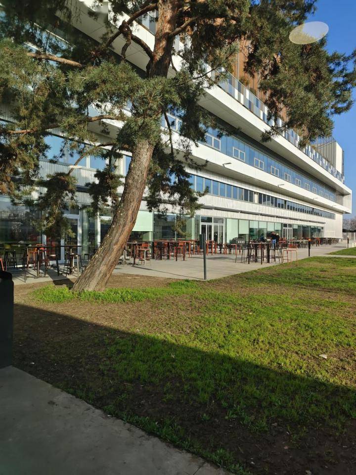 林茂院长一行出访法国凯致商学院,共商中法学院未来