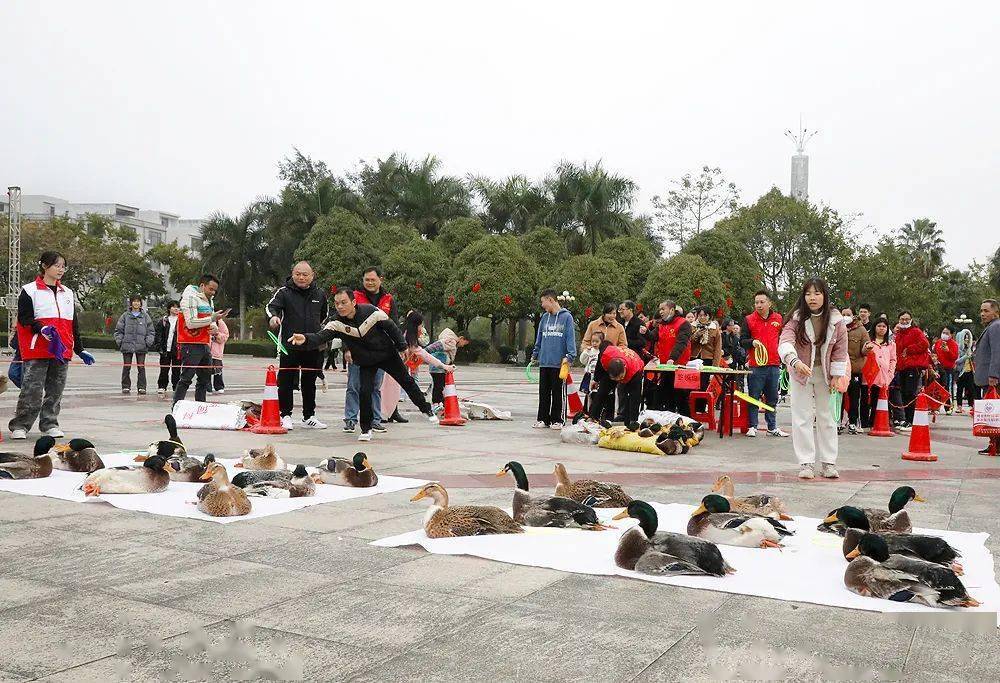 在套活鸭,盲人击鼓,套圈圈等趣味游园项目区域,各个游戏点欢欢声笑语