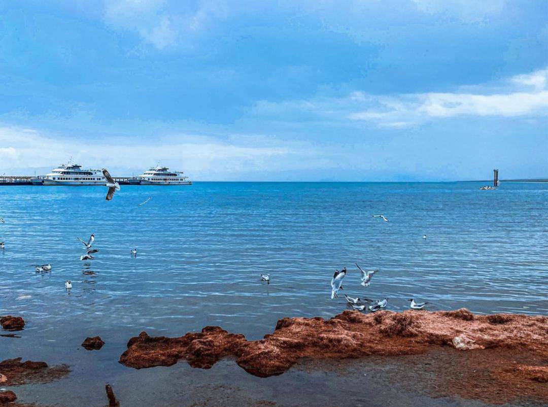 湖北武汉 | 距离移通约776公里一线贯通,两江交汇,三镇雄峙,四海呼应