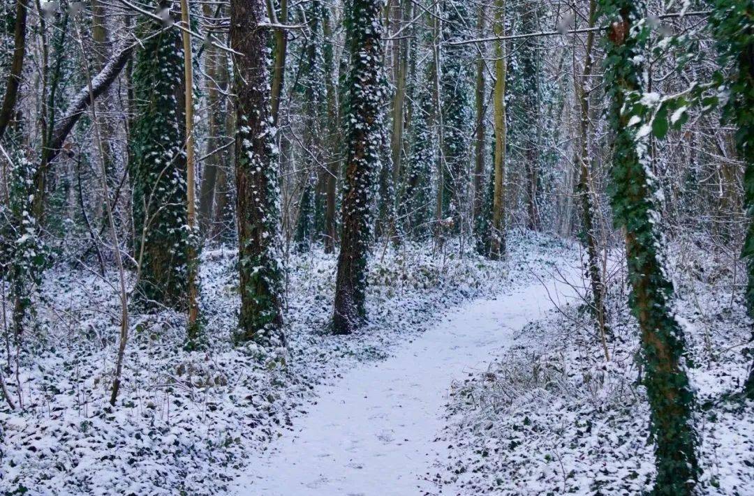 放下过去,让心归零