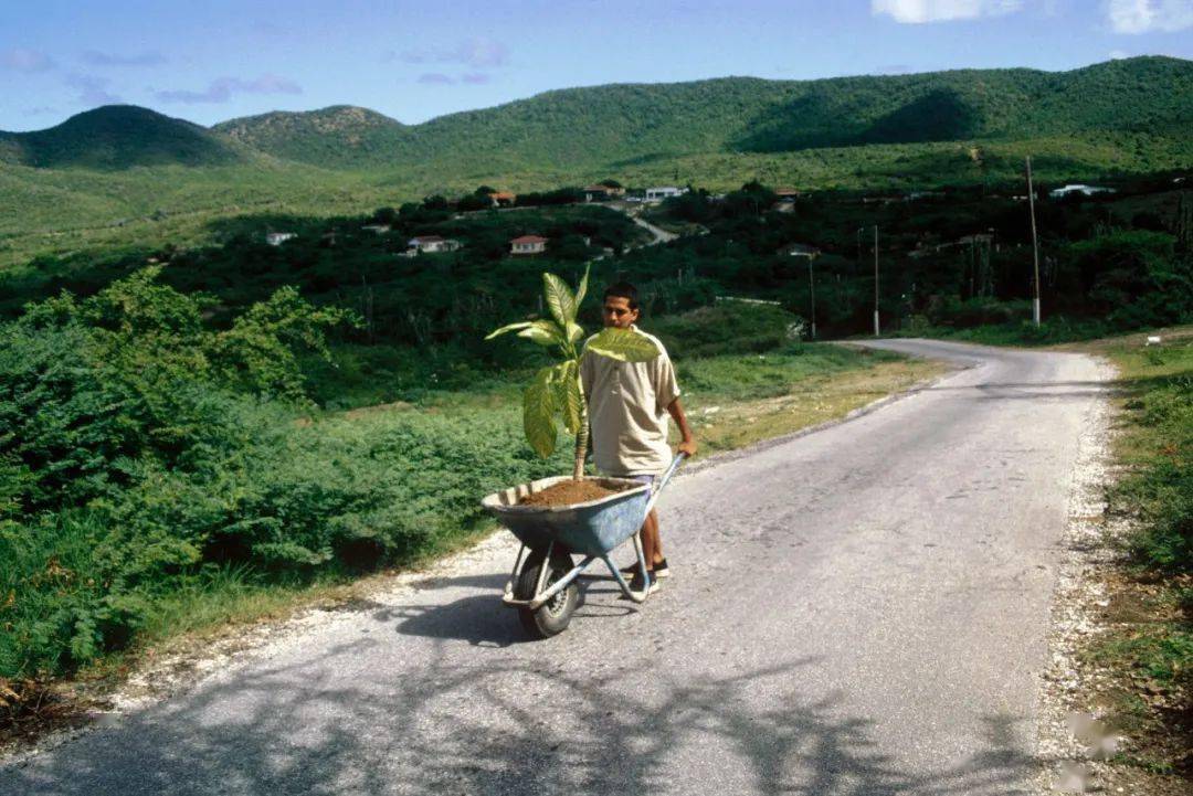 【古巴】威尔弗雷多·普列托(wilfredo prieto )_tico