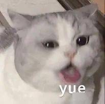 抖音犯贱表情包:那你报警吧_公众_熊猫头_时候