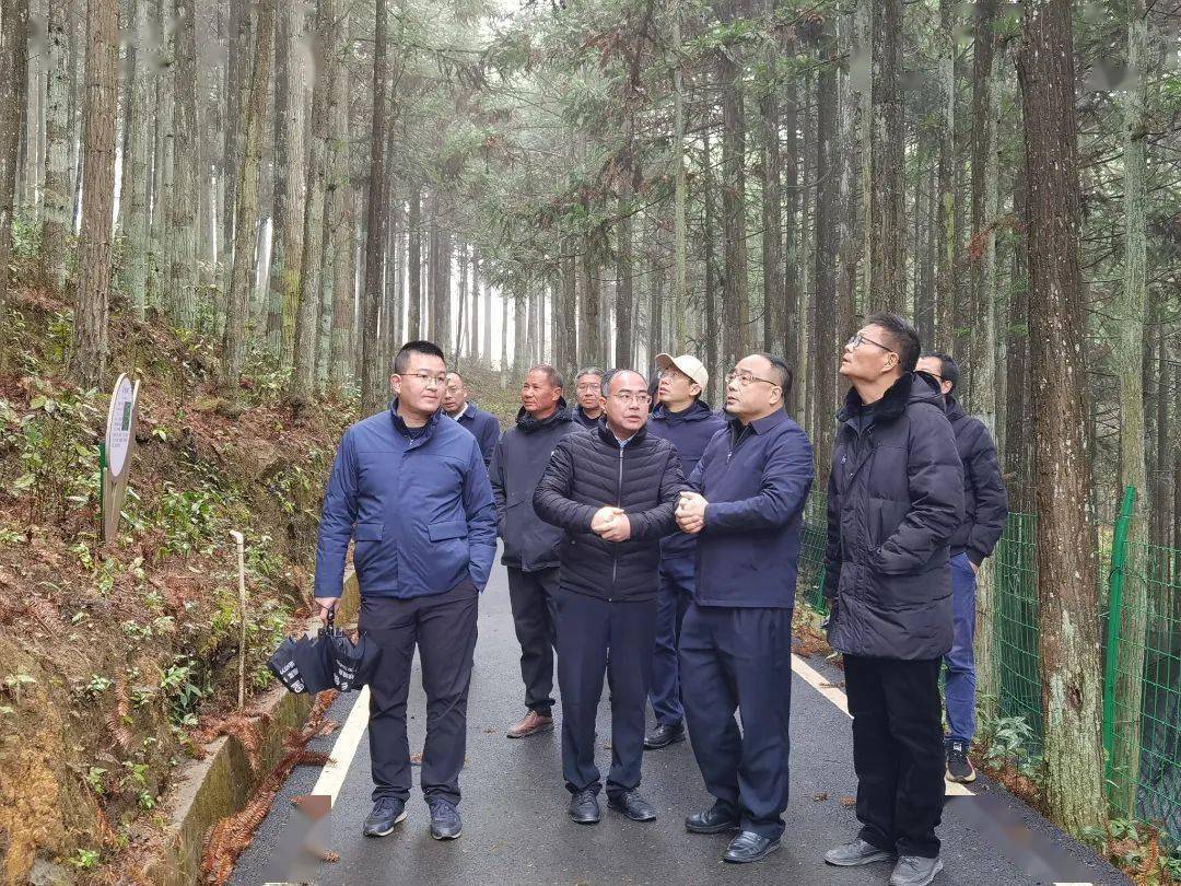 福建省林业局领导深入周宁县黄振芳家庭林场开展春节慰问活动