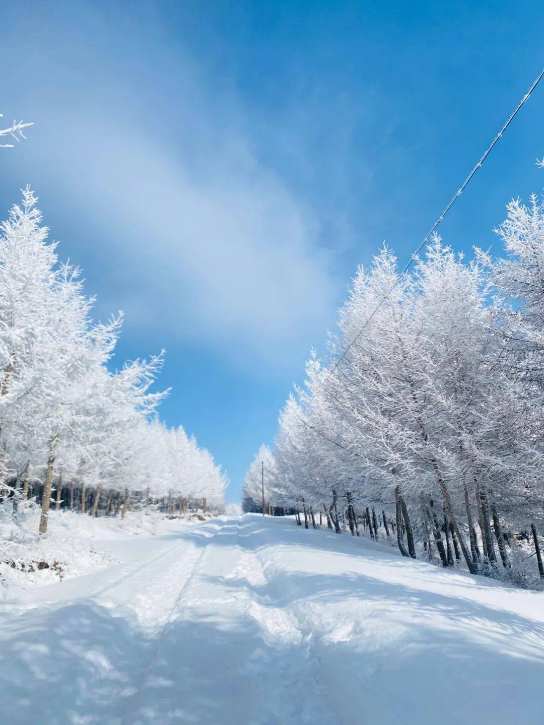踏雪林海雪原,徒步桦皮岭 中国梦登山队第三百七十二