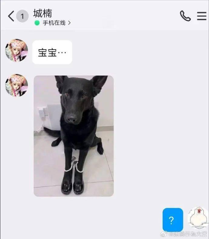 公事就寄出QQ，尽管我事很难说服(图5)