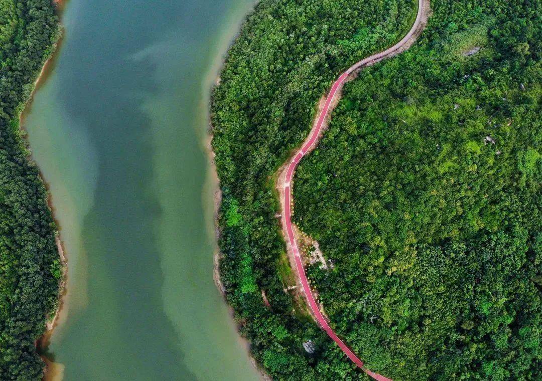 图源:深圳城管微信公众号还有心形的"映日湖"和错落有致的"千堆雪"等