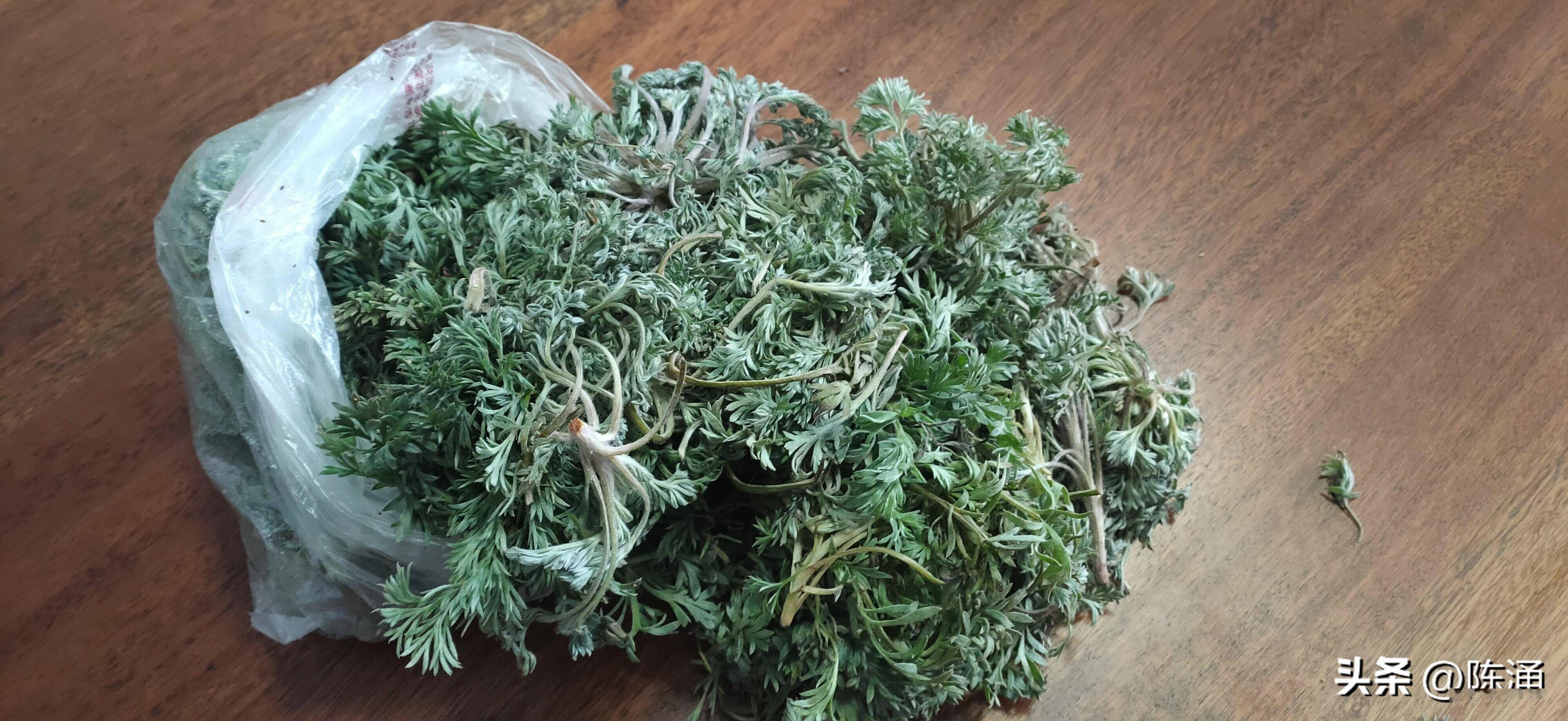 药物:茵陈,大黄,山栀,茯苓,薏苡仁,制半夏,陈皮,赤芍,丹参,白花蛇舌草