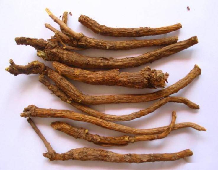 2,气滞血瘀型药物:柴胡,郁金,川楝子,八月札,枳壳,白术,赤芍,半枝莲