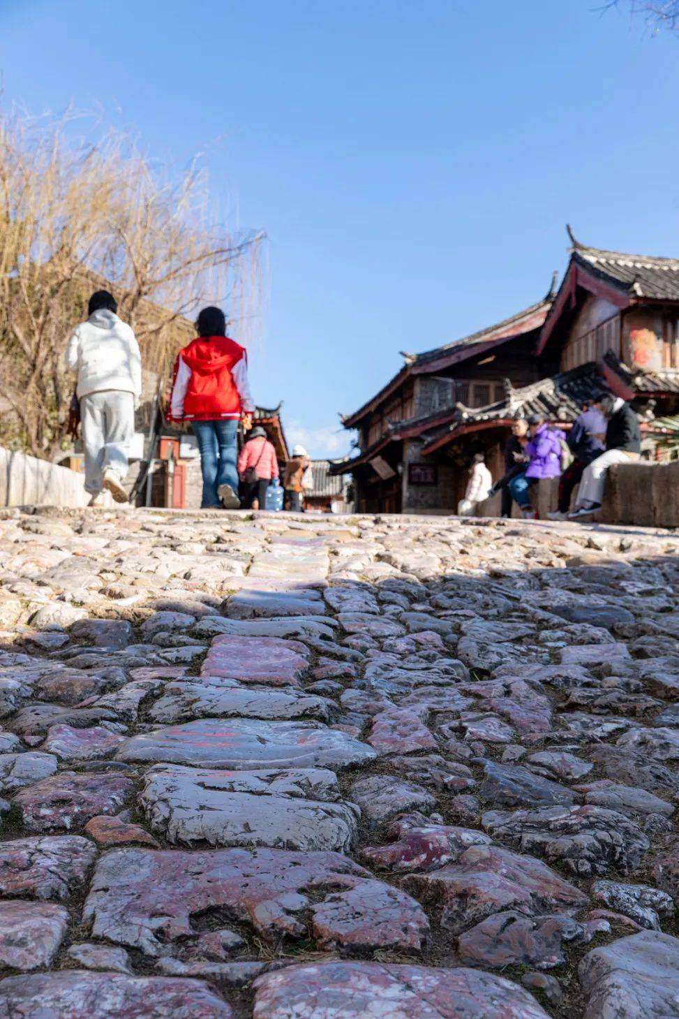 束河同样有龙潭.