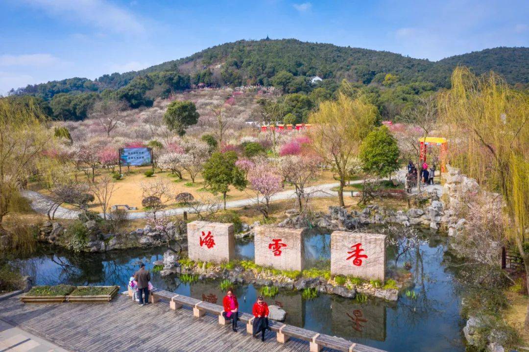抵达后游览中国四大赏梅胜地之一【光福香雪海景区】赏梅,每年二月