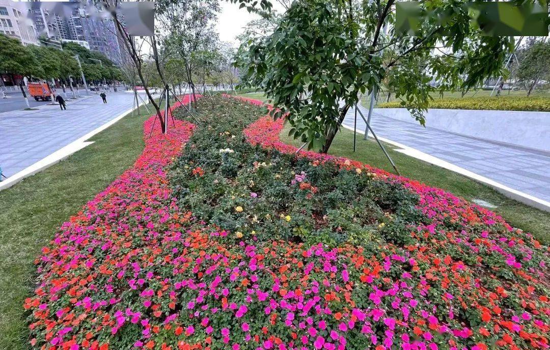 请你来看天河版"繁花"→_城市_大道_隧道
