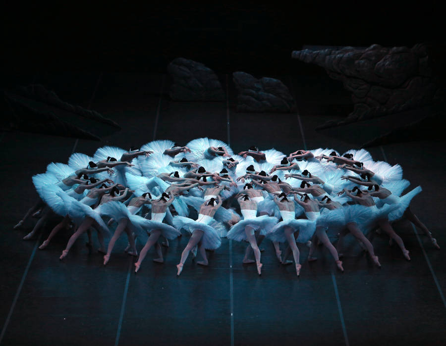 专访央视春晚"白天鹅"戚冰雪:我也曾是一只丑小鸭_舞台_芭蕾舞剧_上海