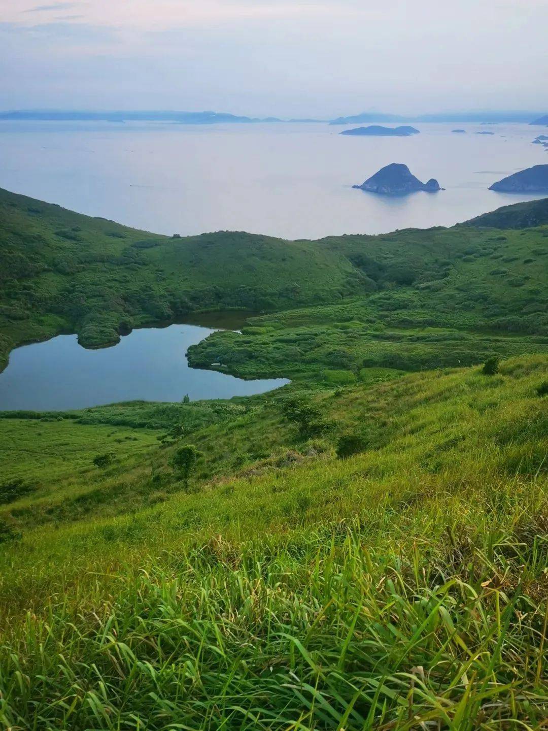 霍童_活动_门票