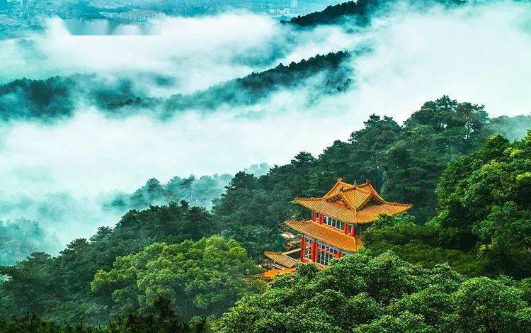 春节在贵港游玩好去处,这么全的攻略你一定要有!_景区_广西_旅游区
