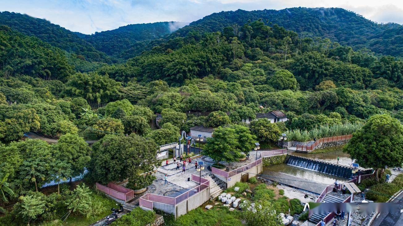 帽峰山下,白云深处尽藏美食美景_柠檬_示范带_水库